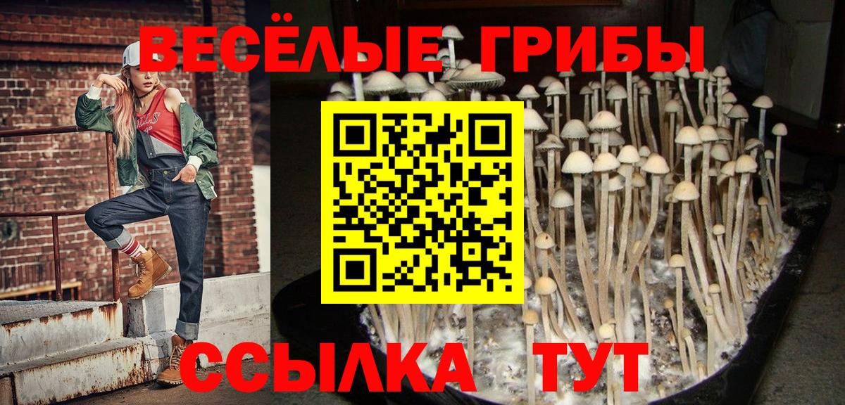 Галлюциногенные грибы ЛСД Кашира