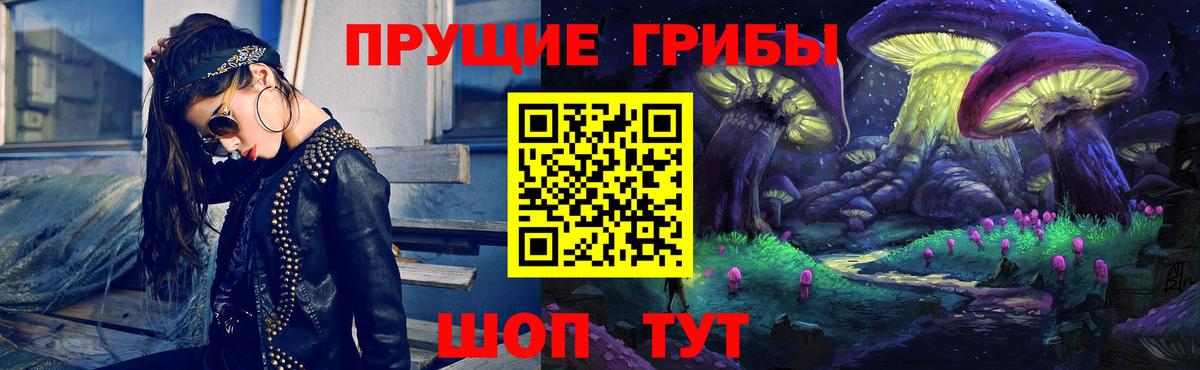 Псилоцибиновые грибы прущие грибы  Галлюциногенные грибы GOLDEN TEACHER  где купить   Кашира  Вход с VPN 